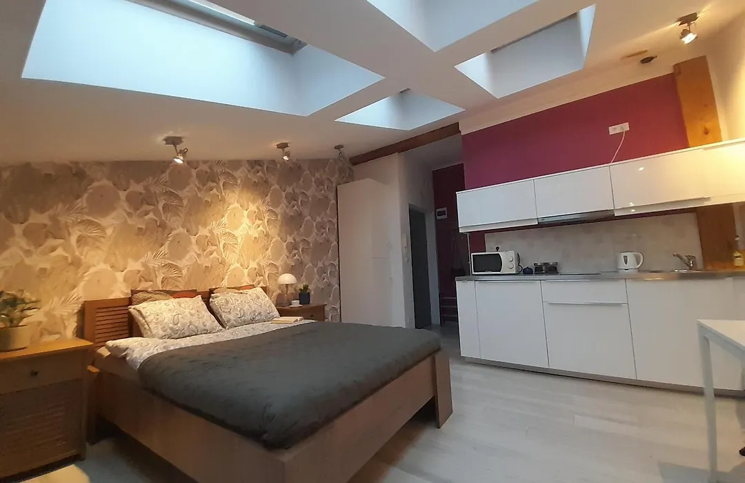 Old Town Premium Apartment Kazimierz - Synagogue view-1